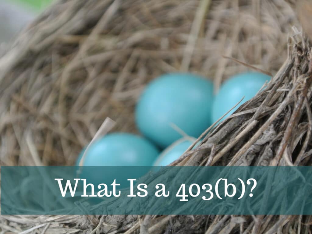What Is a 403b and Is It the Right Option For You? - The Financial ...